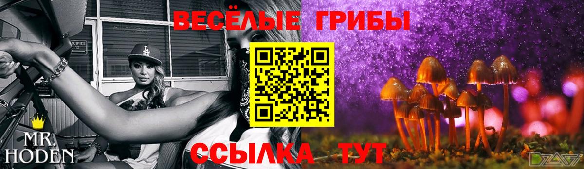 Псилоцибиновые грибы Psilocybine cubensis  Вход с VPN  Псилоцибиновые грибы Psilocybe  Егорьевск 